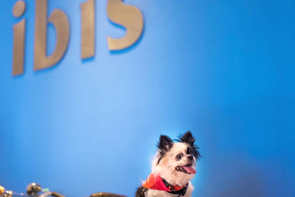 イビス リスボア ジョゼ マリョーア 写真