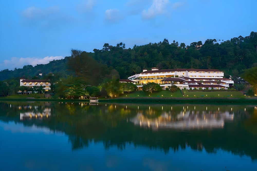 シナモン シタデル キャンディ 写真