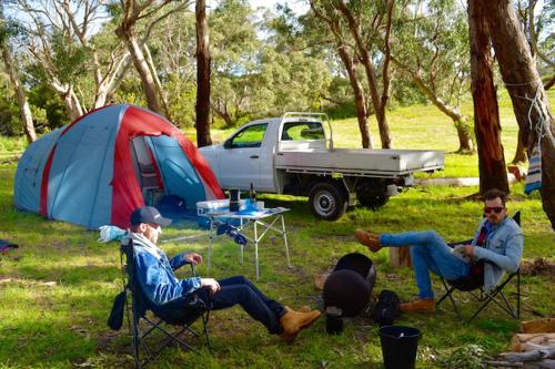 Bimbi Park - Camping Under Koalas 写真