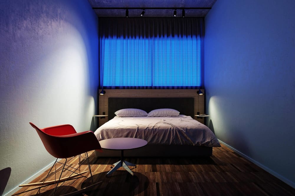 イビス スタイルズ ローマ アウレリア 写真