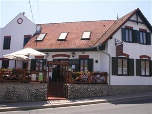 ヴィテニ ピンツェ ヴェンデギャ 写真