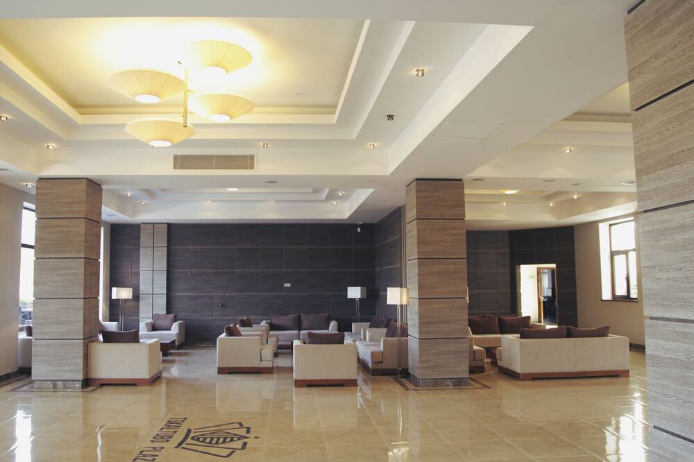 Tskaltubo Plaza Hotel 写真
