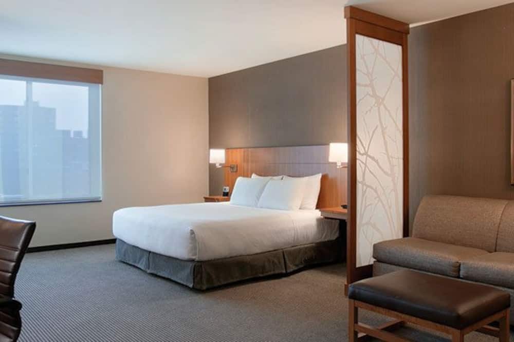 ハイアット プレイス シカゴ サウスユニバーシティ メディカル センター 写真