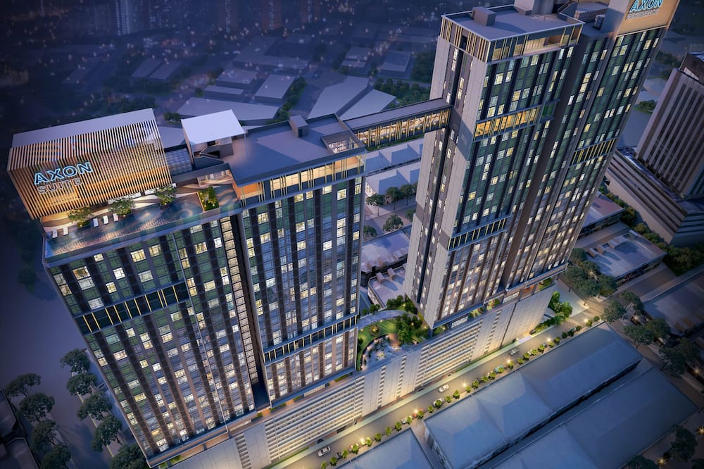 スリーピング ライオン スイーツ 写真