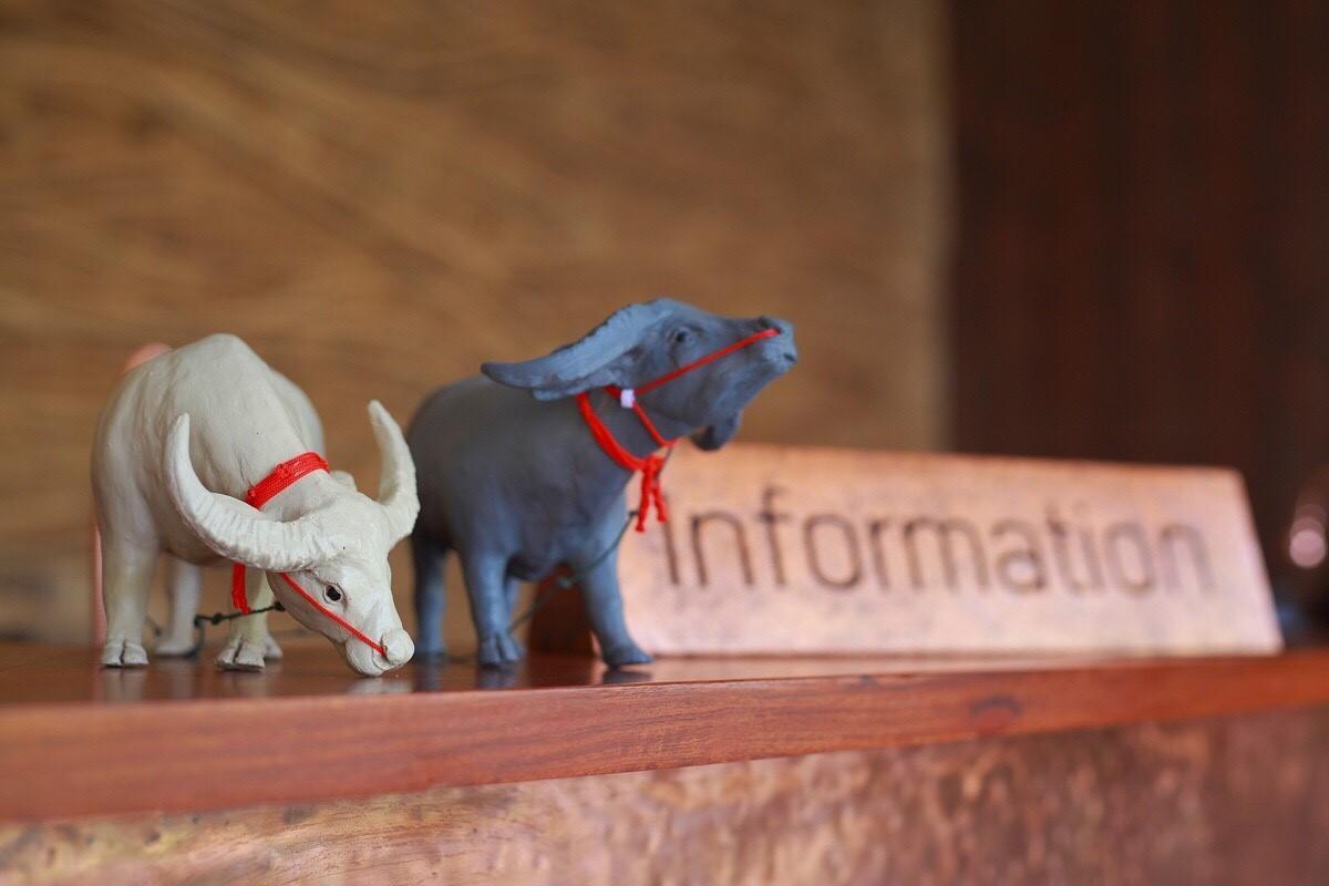 ザ バッファロー アンパワー【SHA Plus+認定】 写真