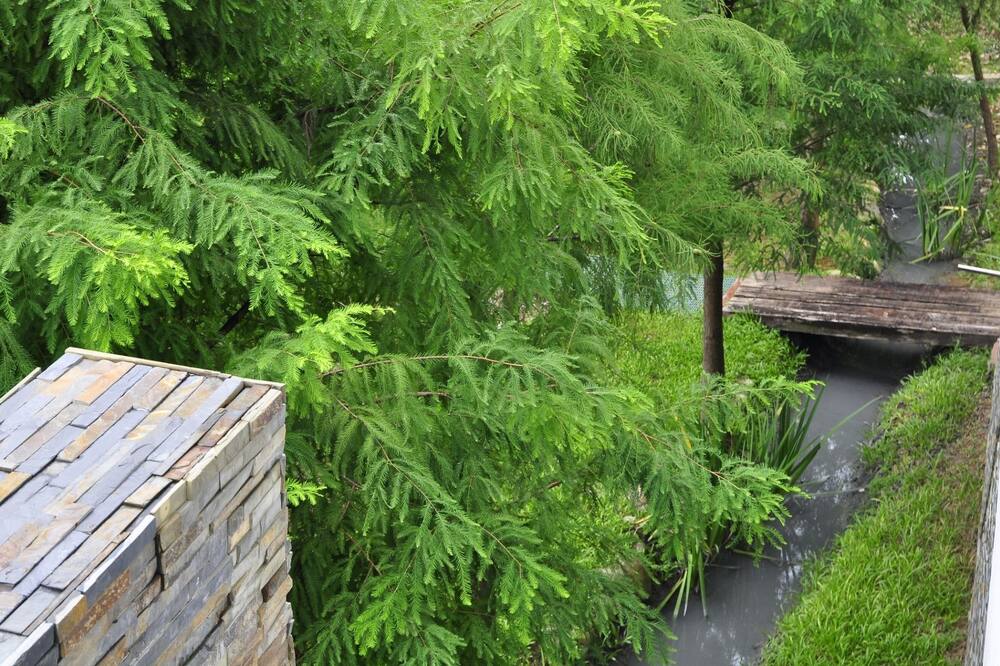 ワン シティー ワン バケーション ファーム 写真