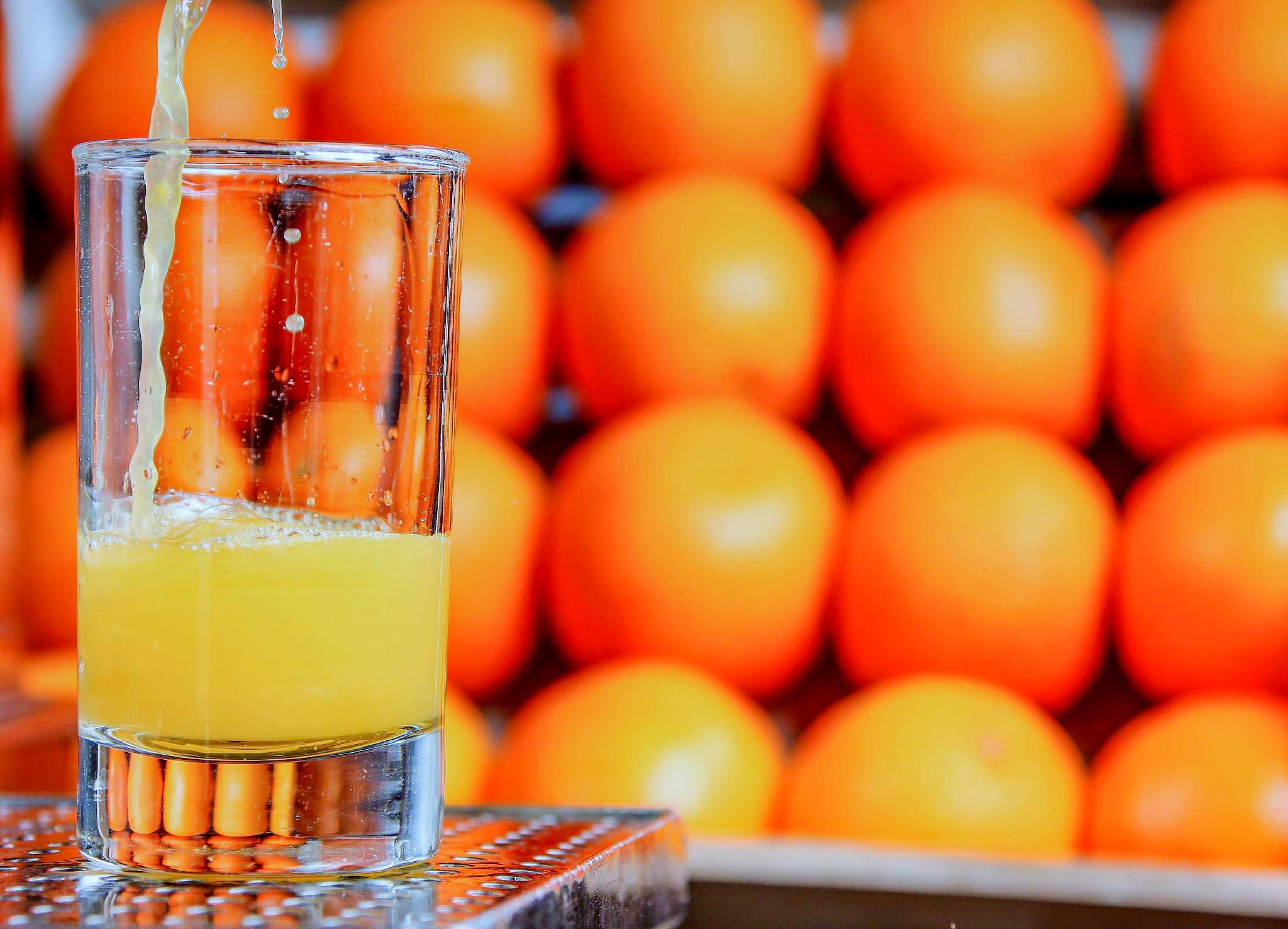 Hotel Plaza Hannover 写真