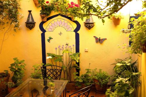 Baraka Boutique Pensión 写真