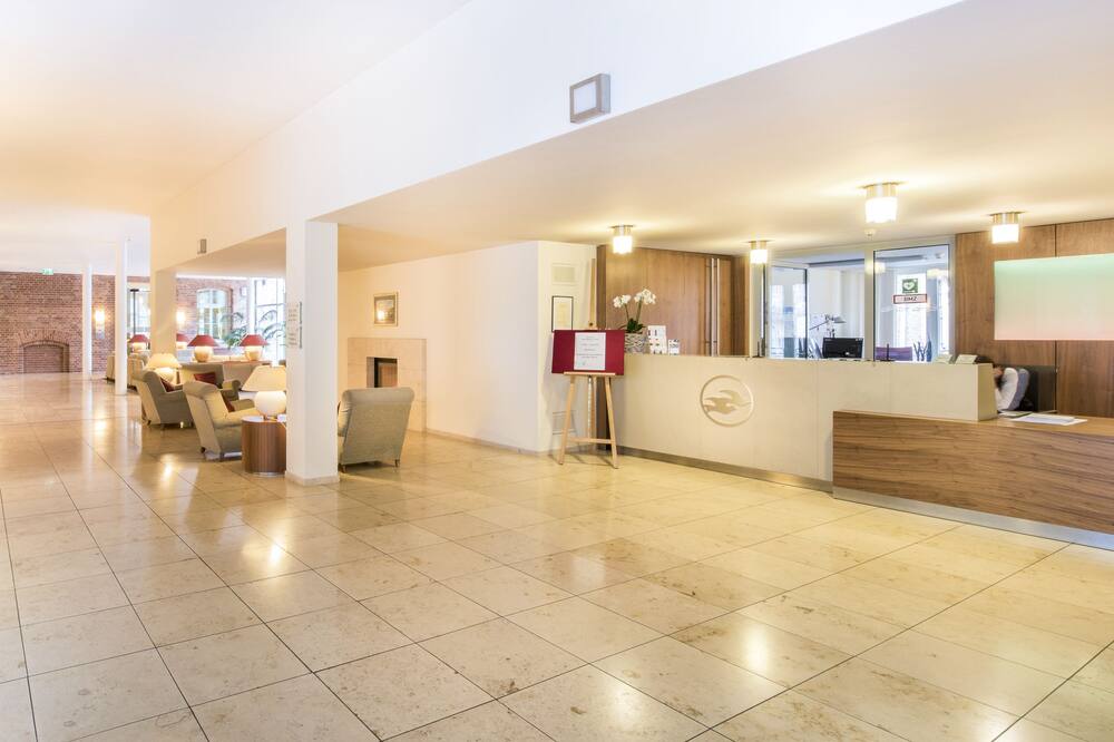 コレジウム レオニヌム 写真