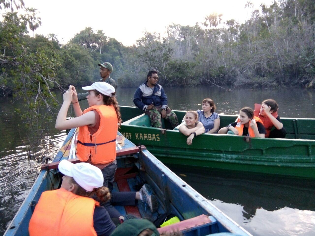 サトワ エレファント エコ ロッジ 写真