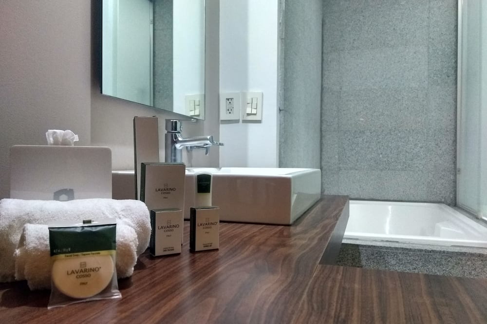 カサ イン プレミアム ホテル ケレタロ 写真