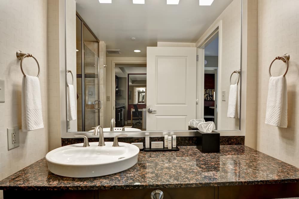 エンバシー スイーツ バイ ヒルトン ラーレイ ダラム エアポート ブライヤー クリーク 写真