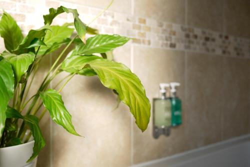 ザ クレアモント 写真