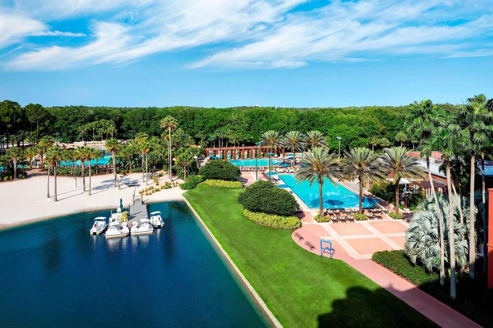 ウォルト ディズニー ワールド ドルフィン 写真