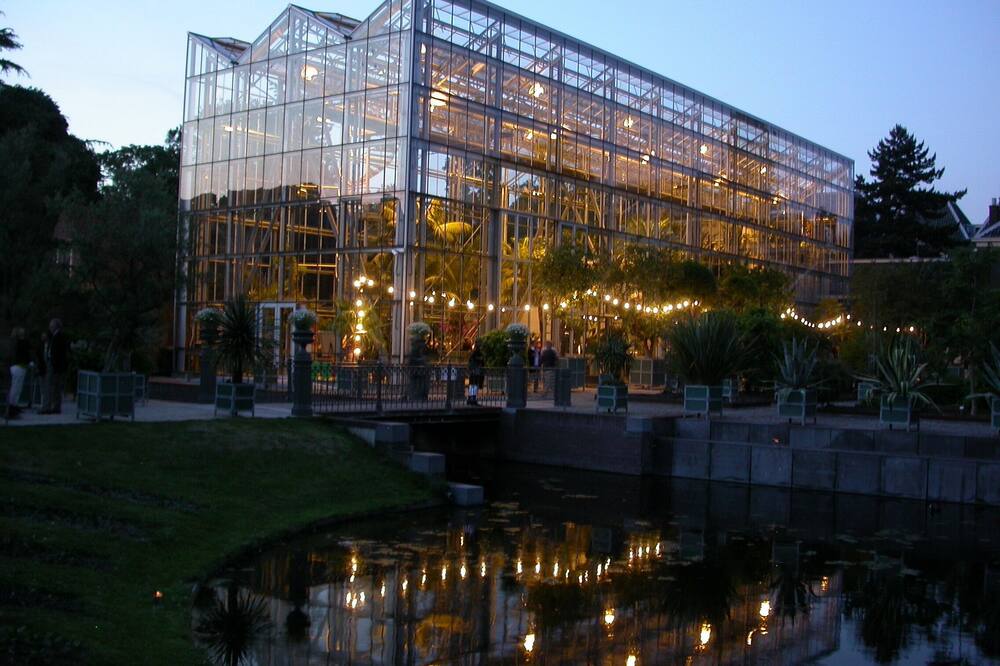 ゴールデン チューリップ レイデン センター 写真