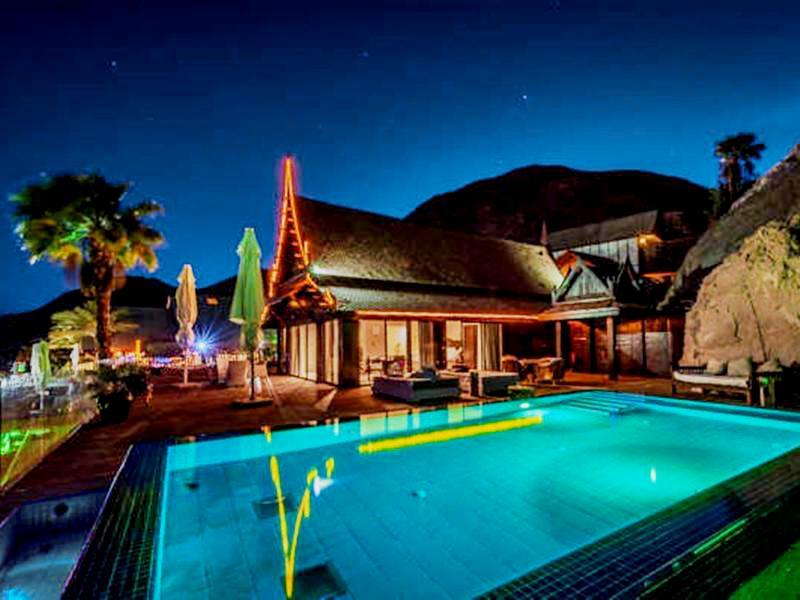 オーキッド エイラット 写真