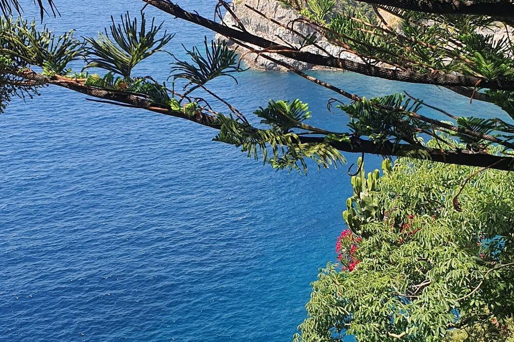 Albergo La Conca Azzurra 写真