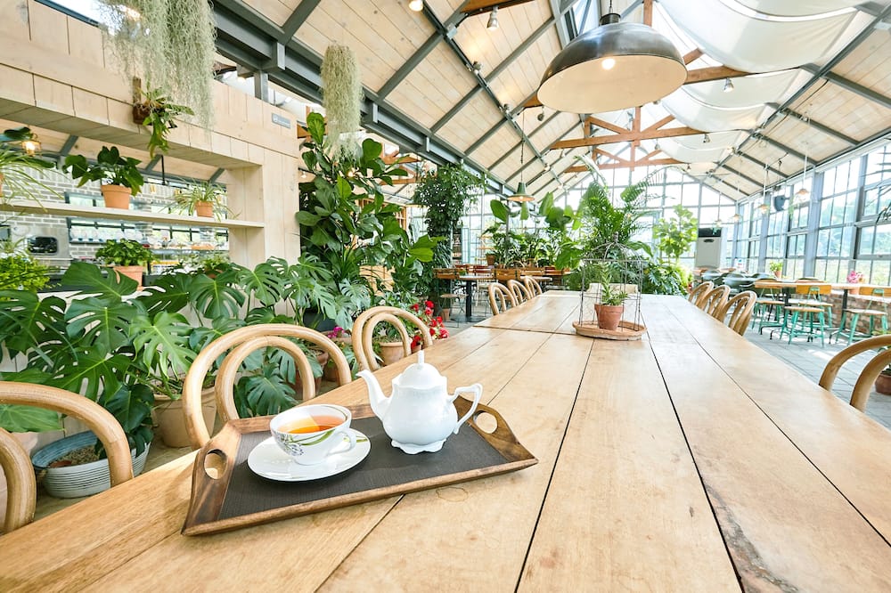 エデン パラダイス ホテル 写真