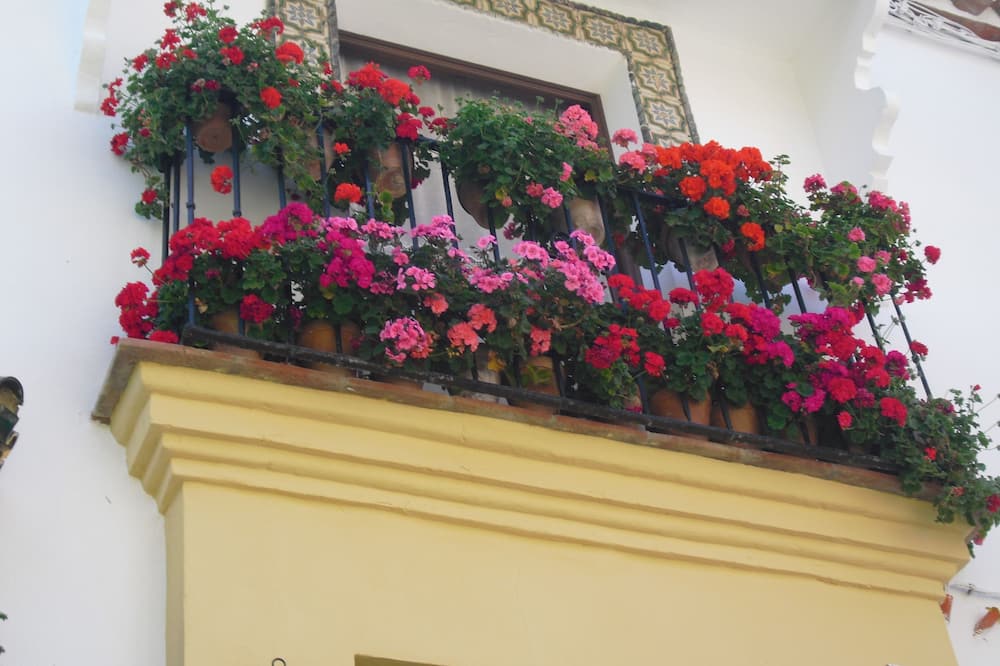 Ronda Center Apartments with Pool 写真