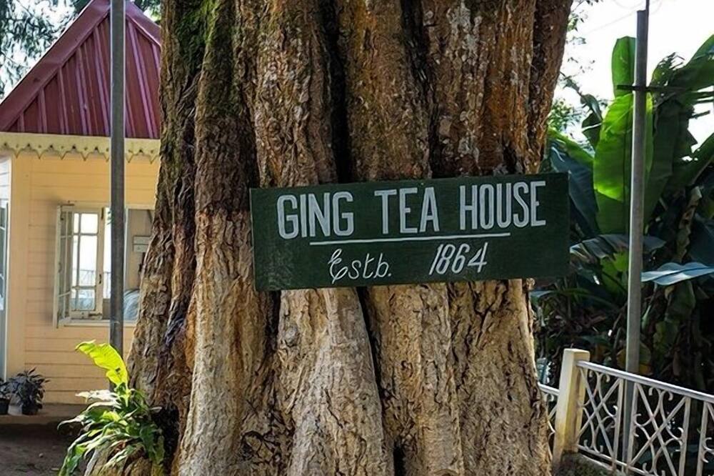 Ging Tea House 写真