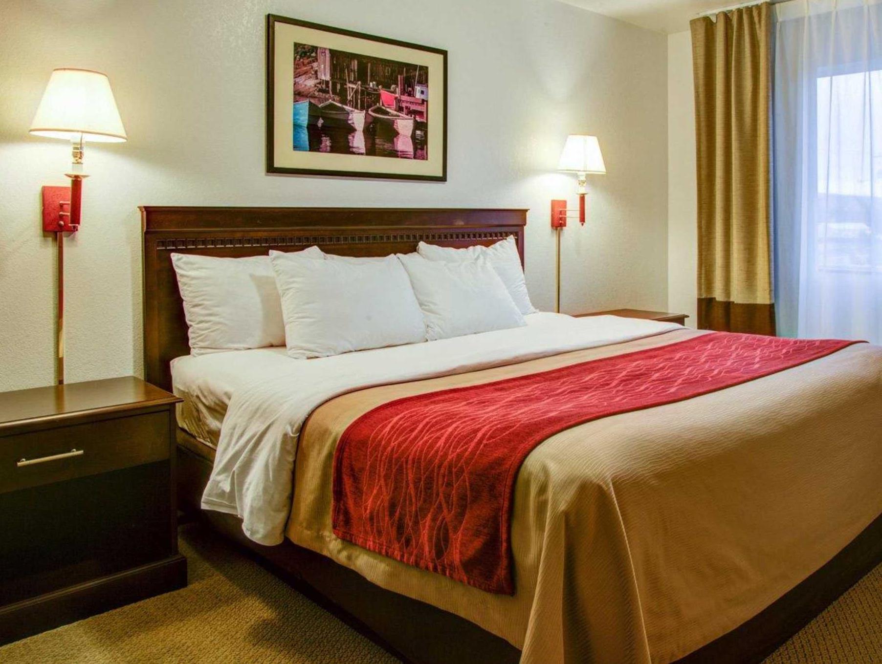 クオリティ イン フローレンス 写真