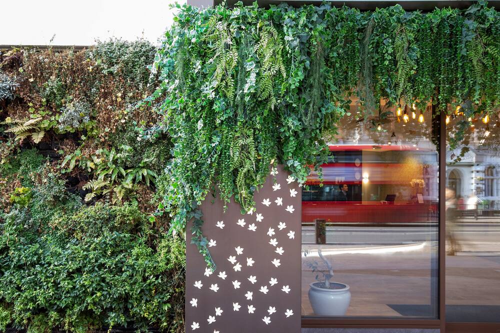 Bedford Hotel 写真