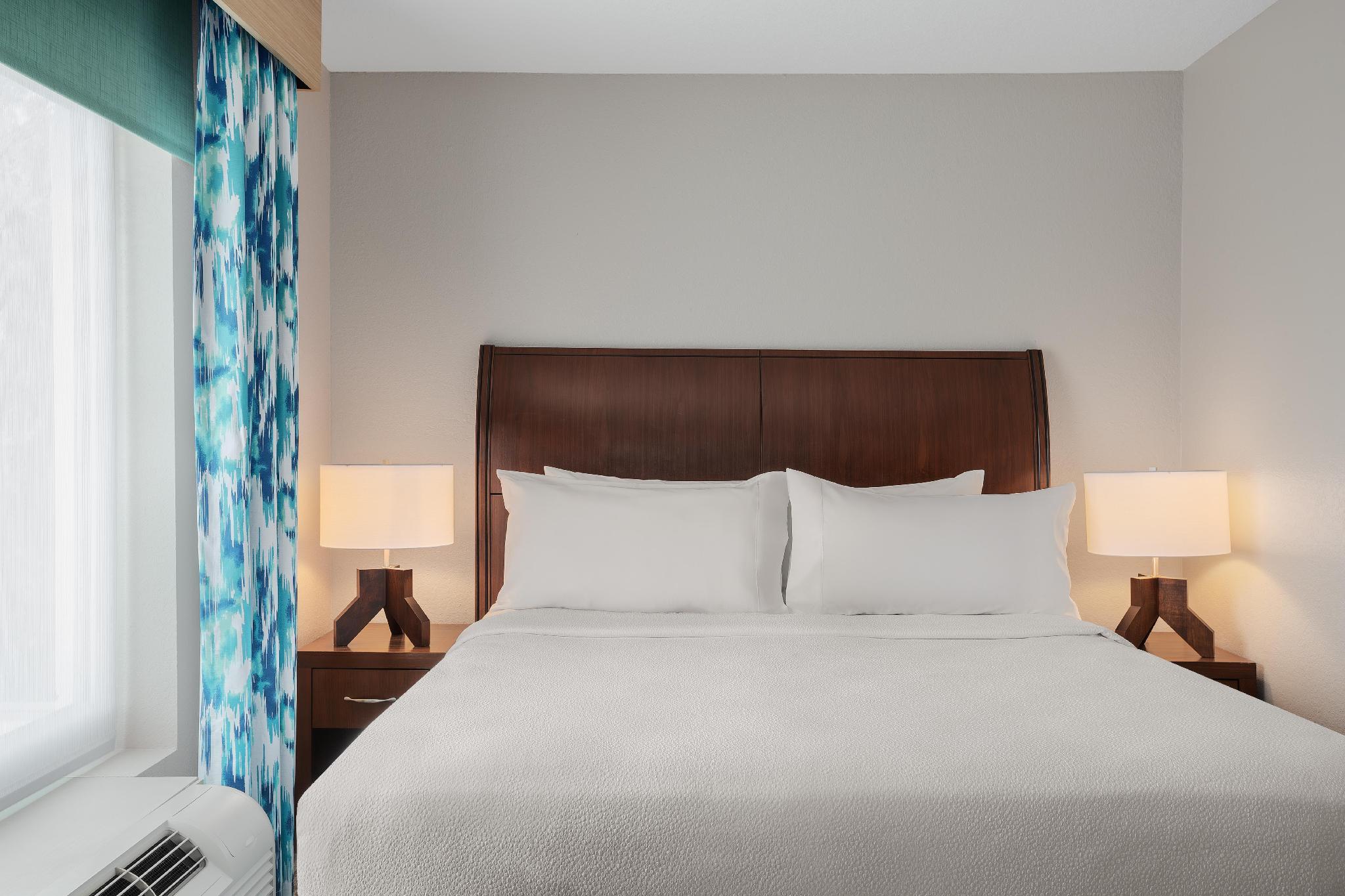 Hilton Garden Inn Tampa North 写真