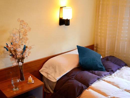 ホステリア グエメス 写真