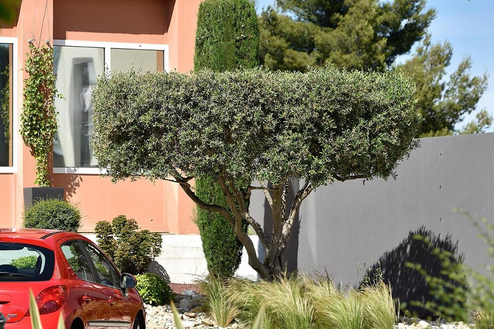 オテル アルル プラザ 写真