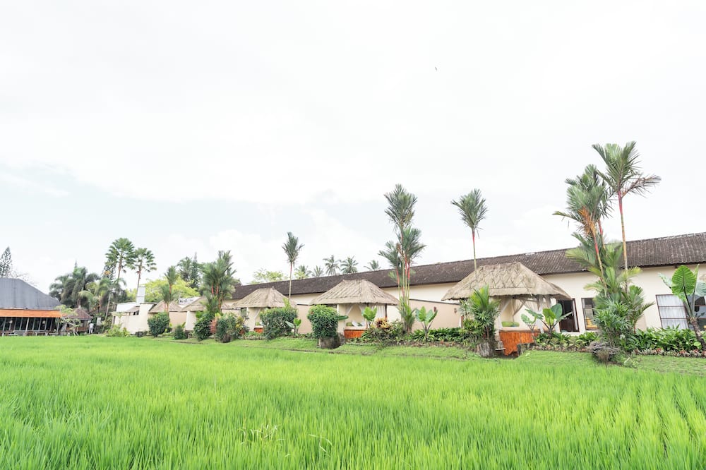 Alam Puisi Villa 写真