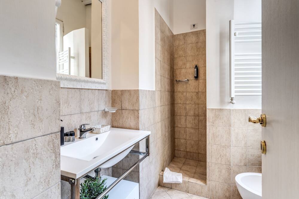 マジェンタコレクションカンチェロ 写真