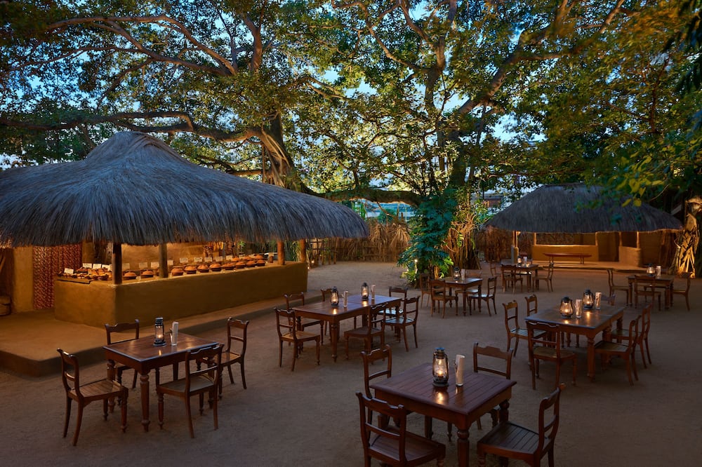 シナモン グランドコロンボ 写真