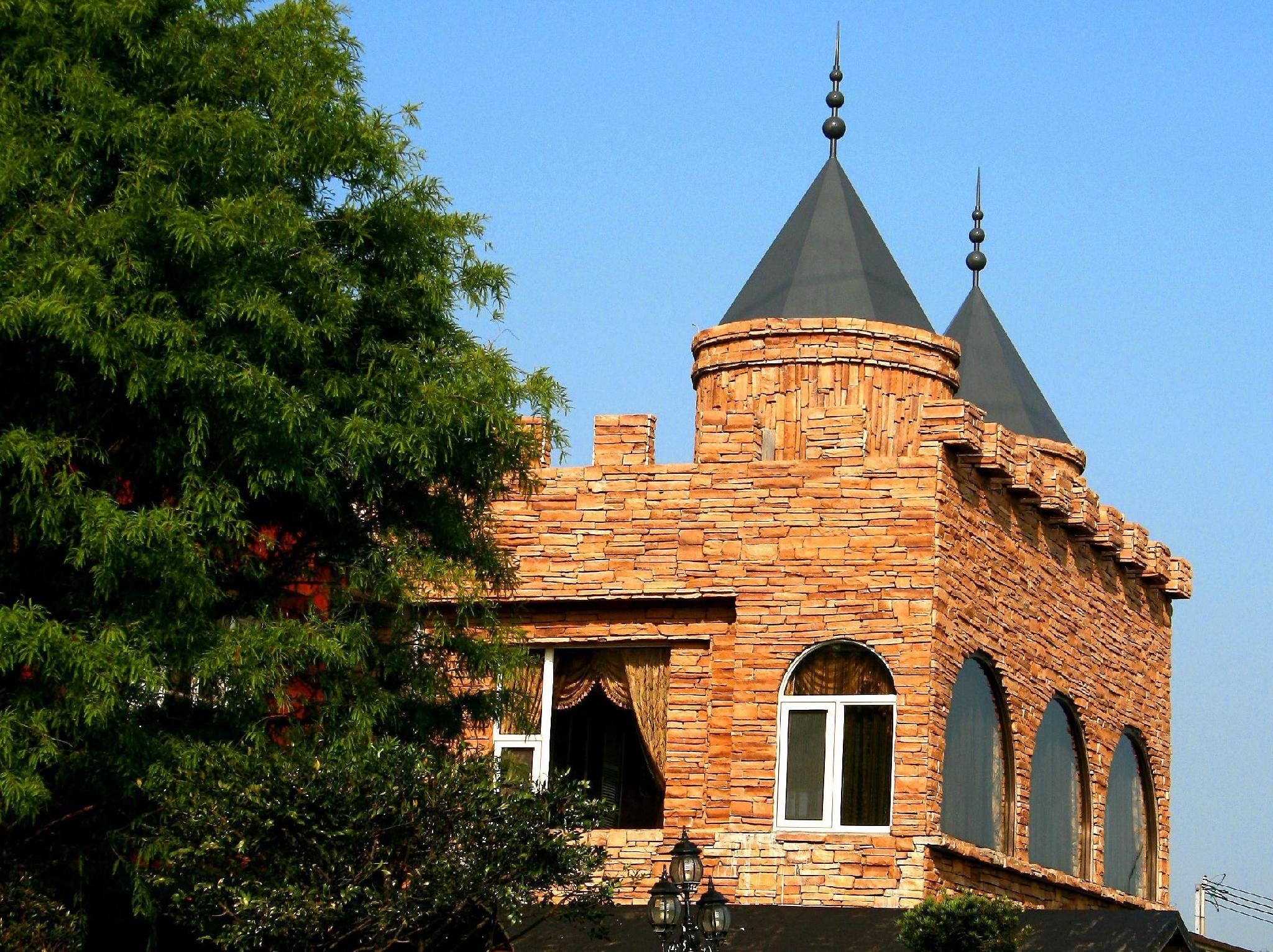 シン ユエン キャッスル ホテル 写真