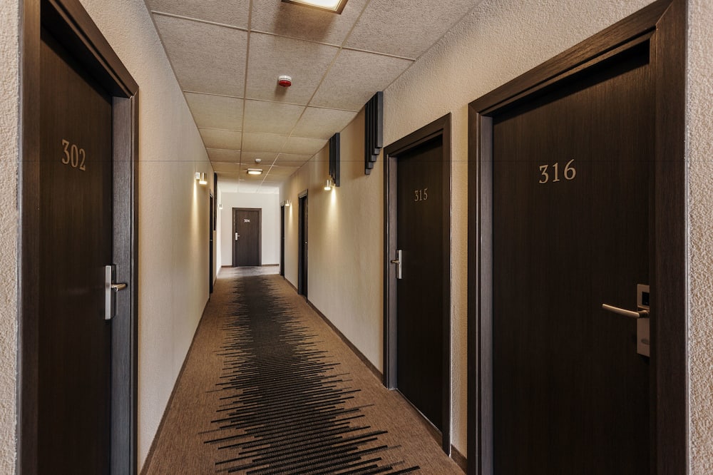 Old Town Trio 写真