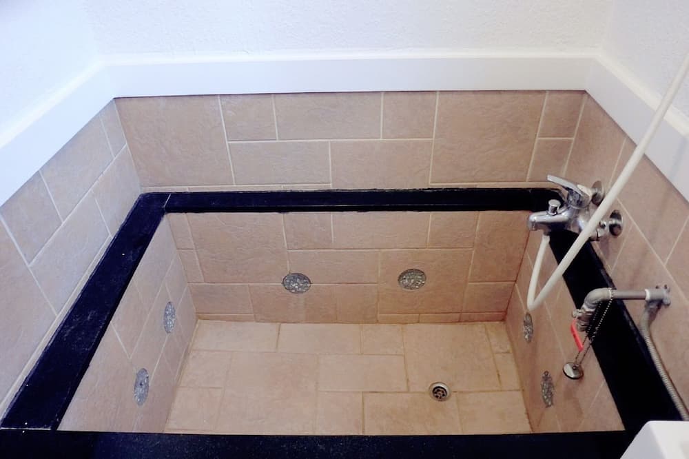 エブリデイ ホット スプリング ホテル 写真