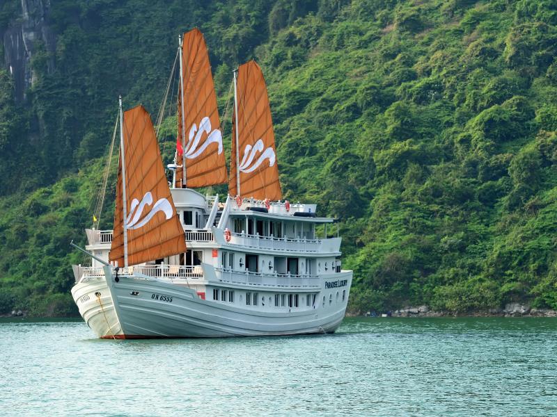 パラダイス セイルズ クルーズ 写真