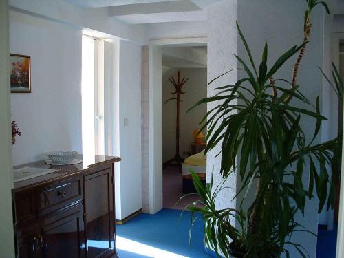 ペンション ヒンツ & クンツ 写真