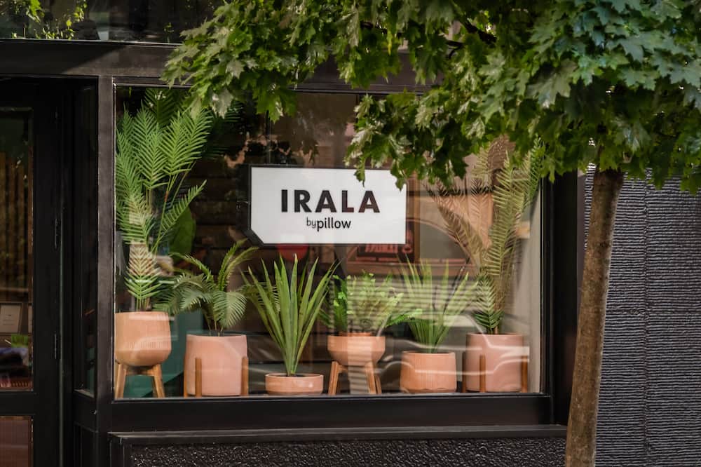 バイピロー イララ 写真