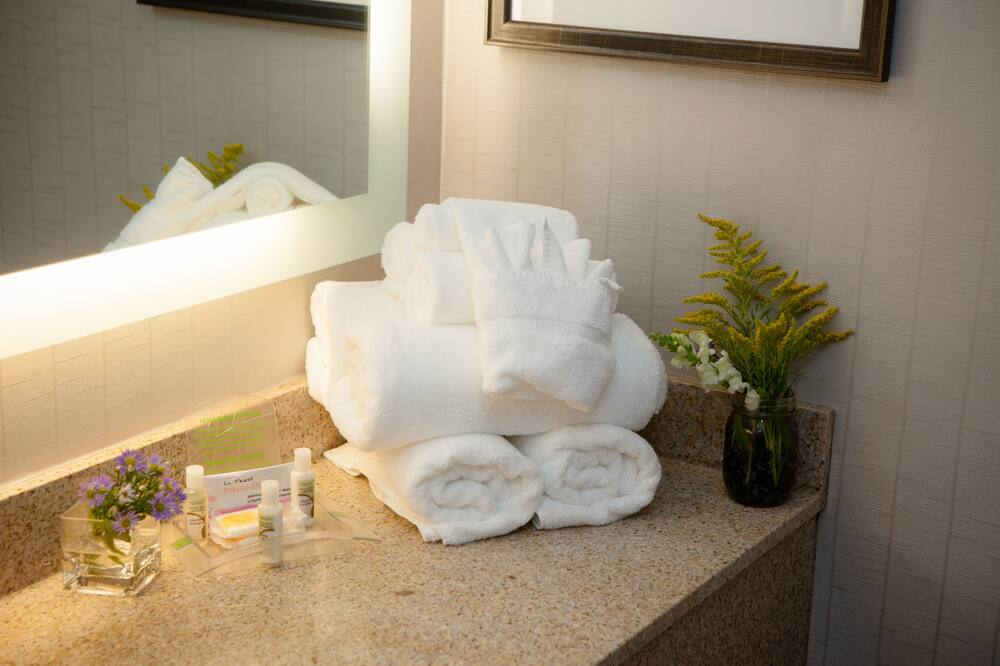 Holiday Inn Greenville By IHG 写真