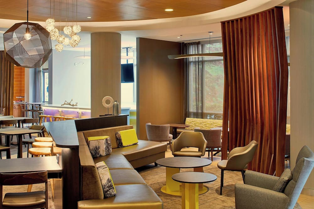 SpringHill Suites by Marriott Atlanta Airport Gateway 写真