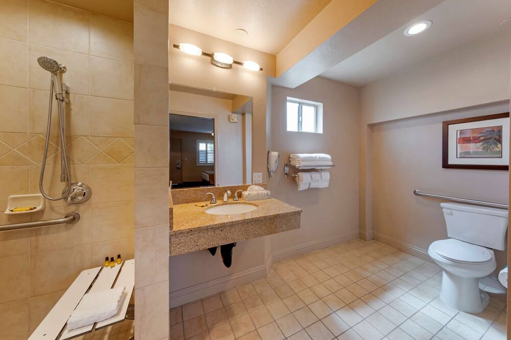 ベストウェスタン プラス パビリオンズ 写真