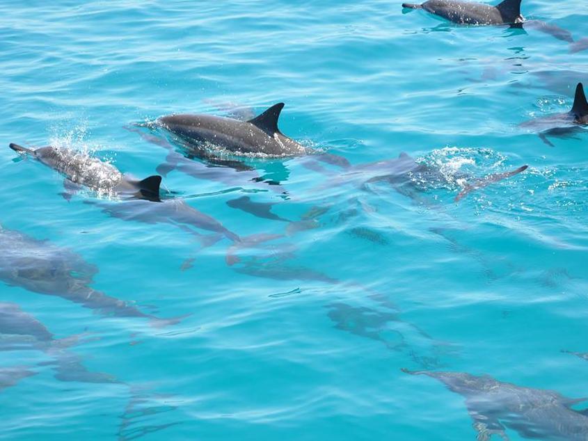 オーシャン ビスタ ゲスト ハウス アット マーフシ 写真