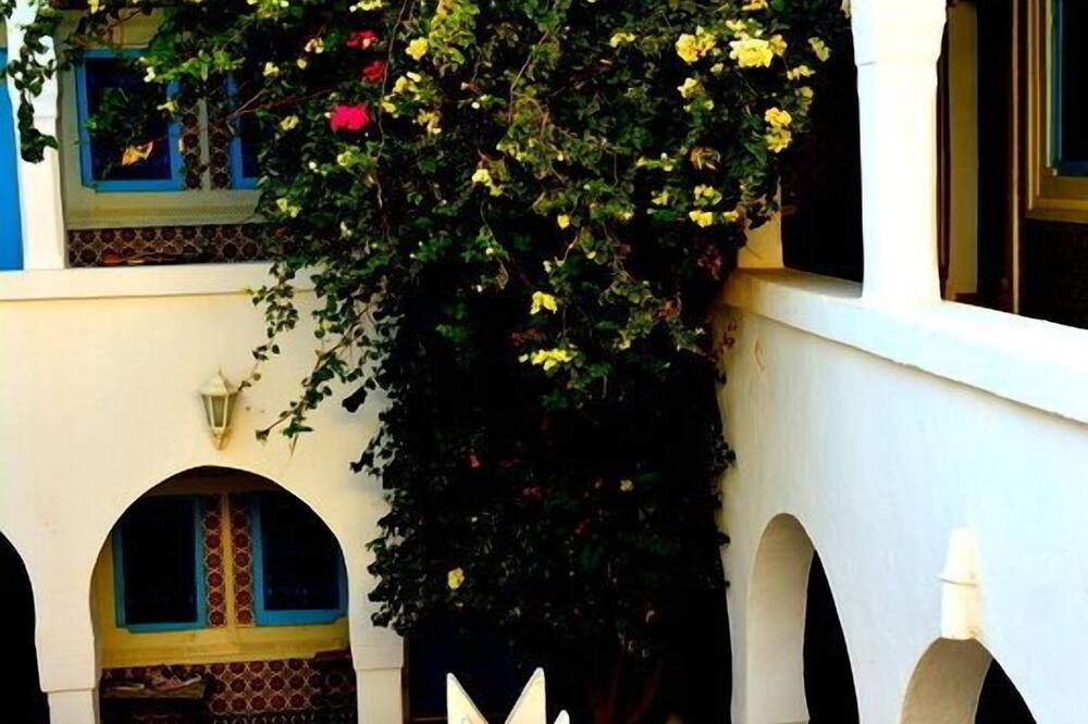 ジェルバ エリアド 写真