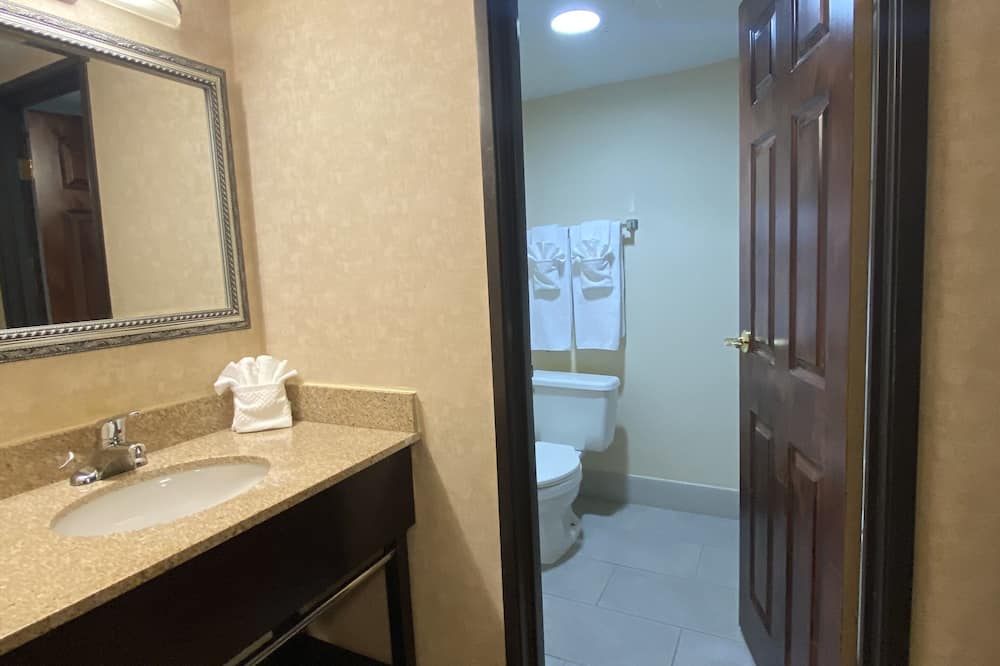 ウインダム ガーデン グランド ラピッズ エアポート 写真