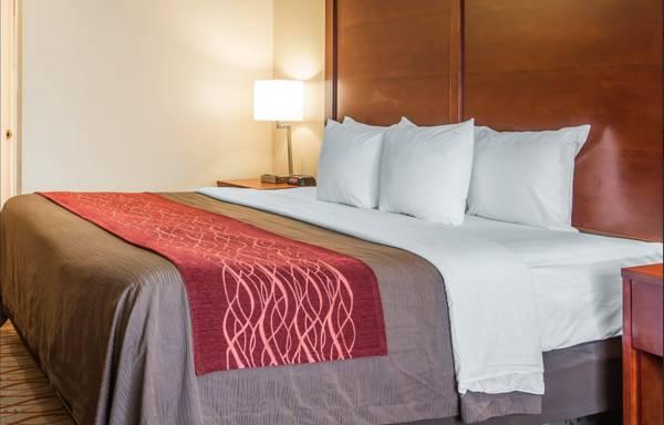 コンフォート イン マウント シャスタ エリア 写真