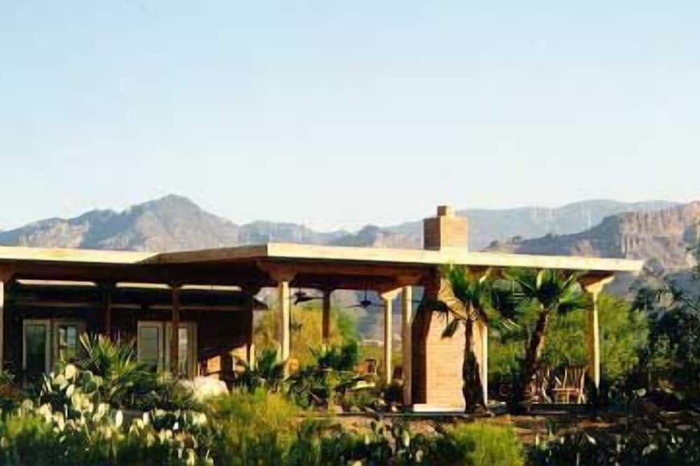 カクタス コーブ 写真