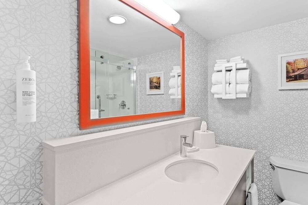 ハンプトン イン シカゴ ナパービル ニア NIU カンファレンス センター 写真