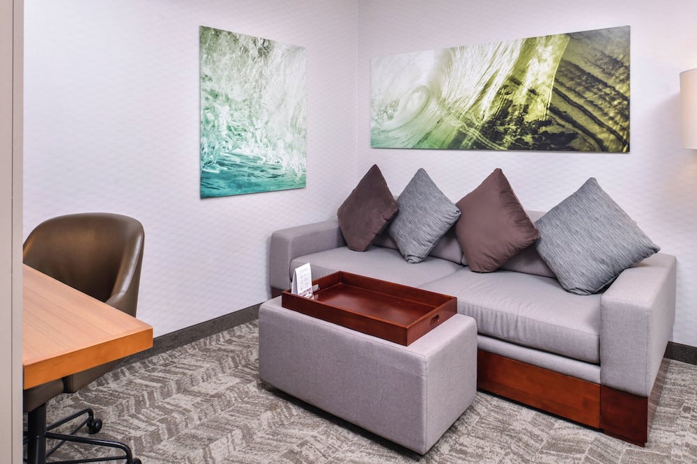 SpringHill Suites by Marriott Temecula Valley Wine Country 写真