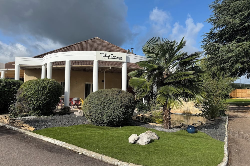 チューリップ イン ボーヌ 写真