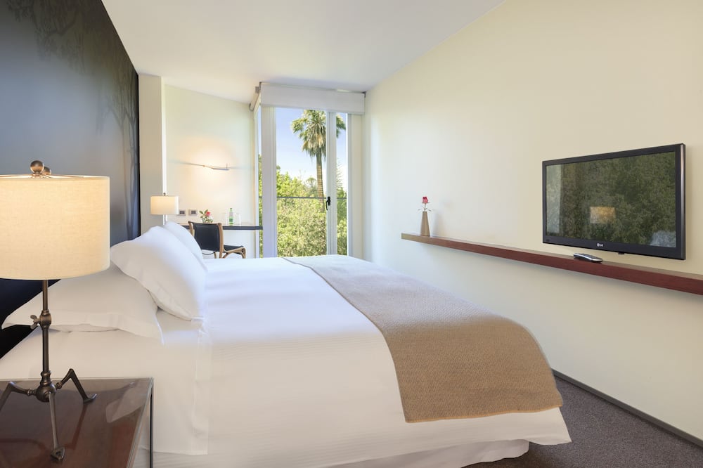 Hotel Ismael - Lastarria 写真